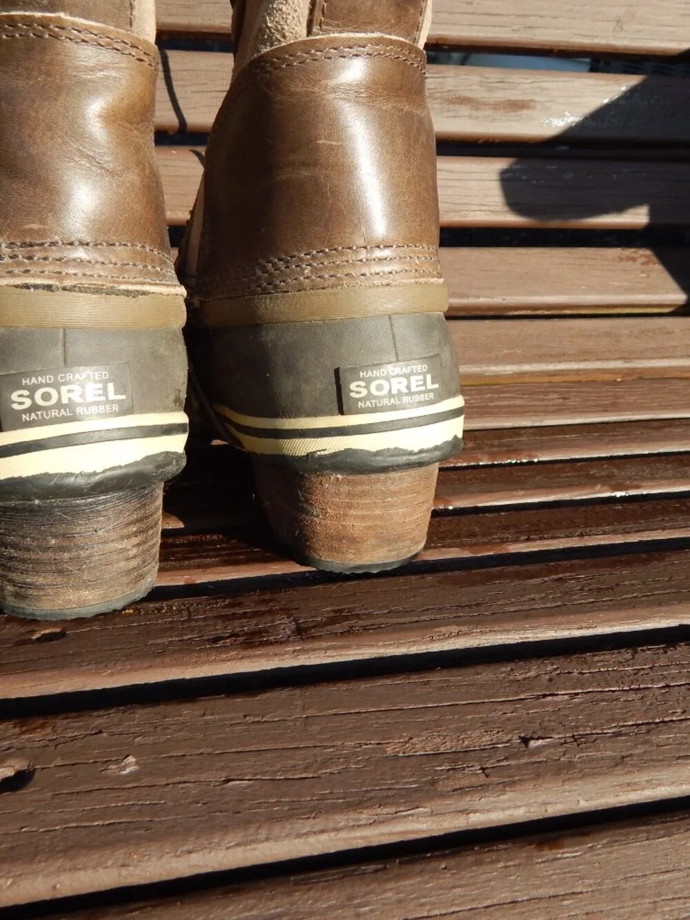 Sorel conquest carly
